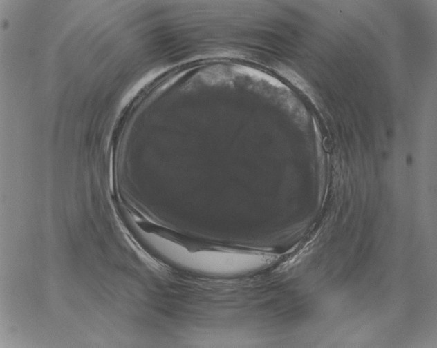 X0000066111127200604071840