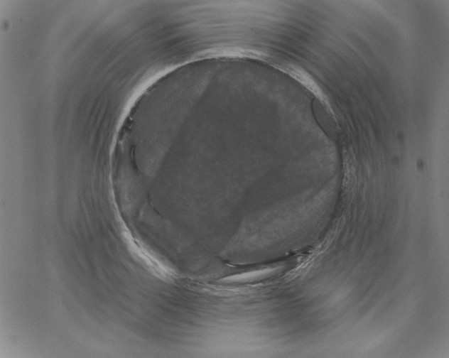 X0000066111132200604071840