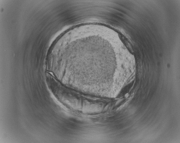 X0000066111134200604071840