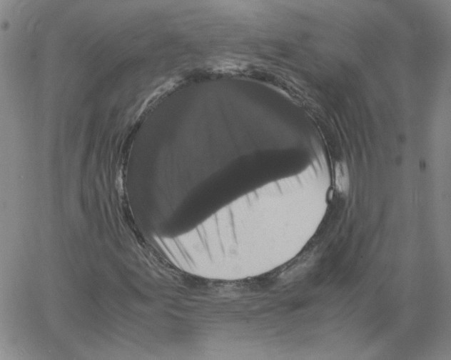 X0000066111155200604071840