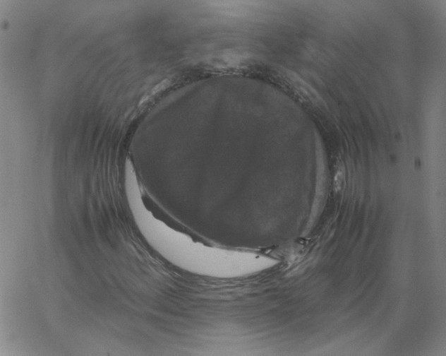 X0000066111156200604071840