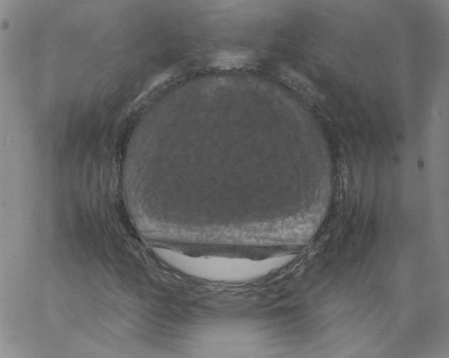 X0000066111158200604071840