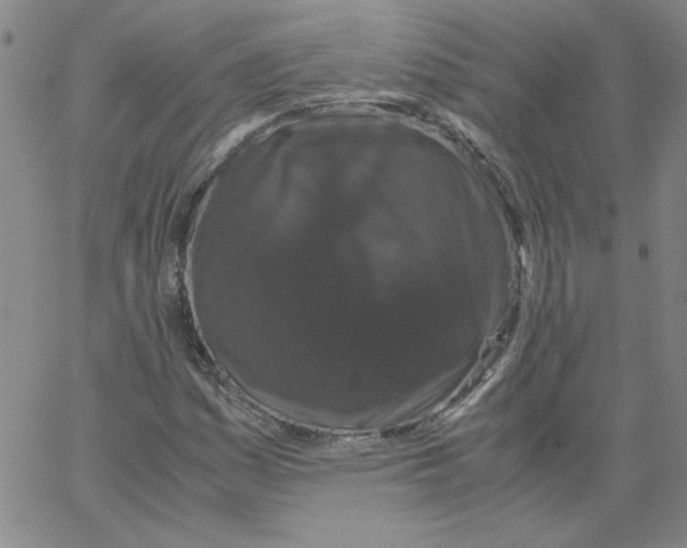 X0000066111161200604071840