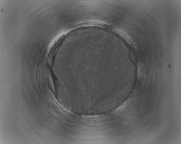 X0000066111164200604071840