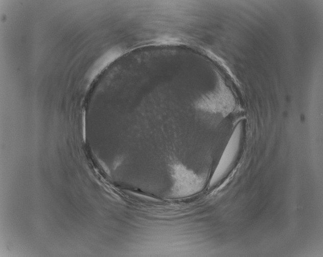 X0000066111171200604071840
