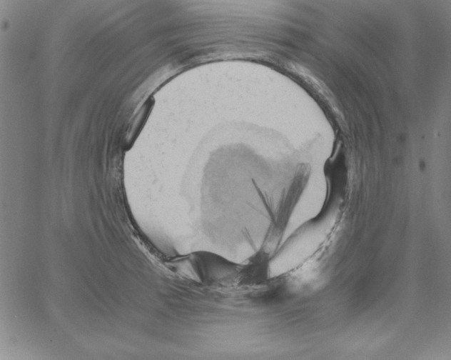 X0000066111185200604071839