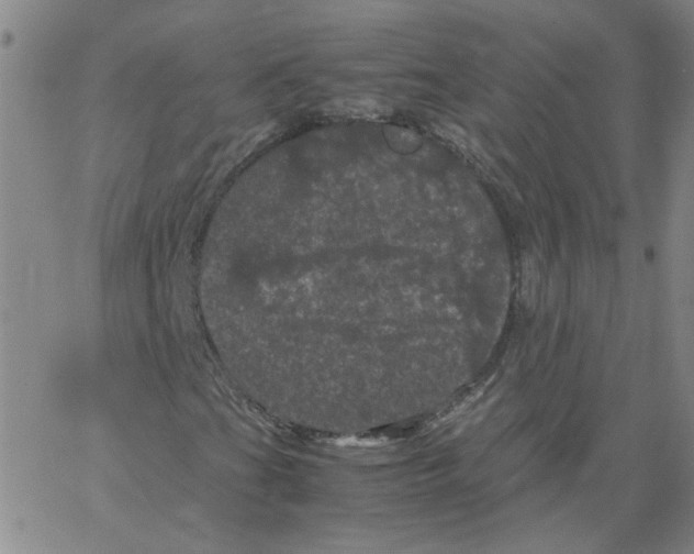 X0000066111201200604071838