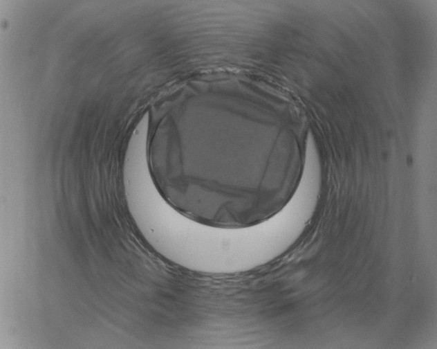 X0000066111202200604071838
