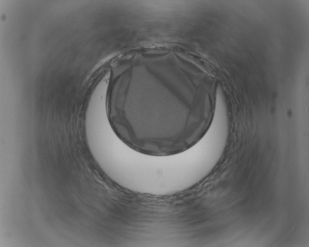 X0000066111206200604071839