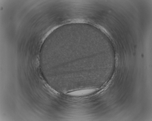 X0000066111212200604071839