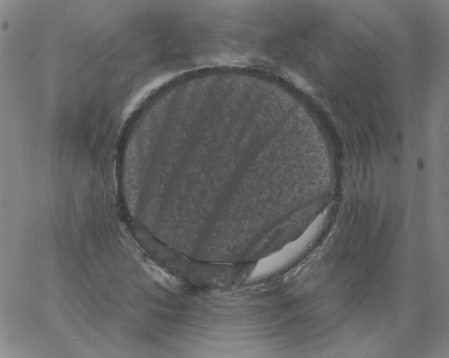X0000066111214200604071839