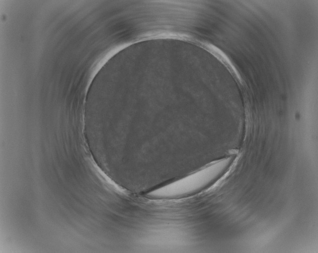 X0000066111244200604071839