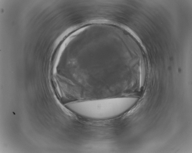 X0000066111245200604071839