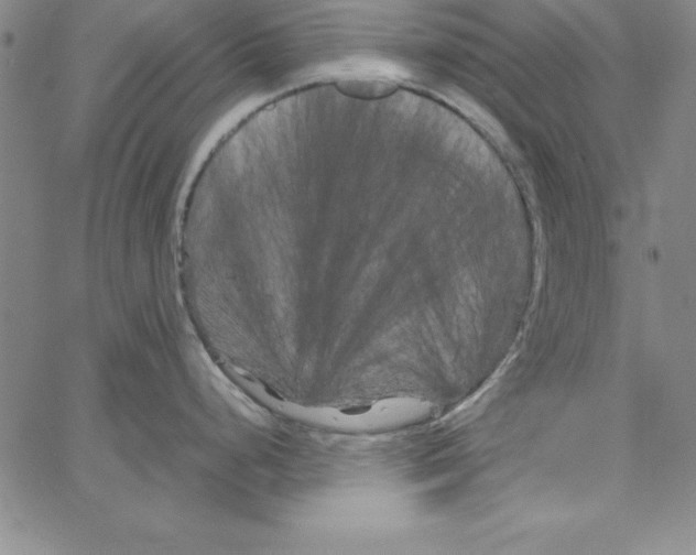 X0000066111248200604071839