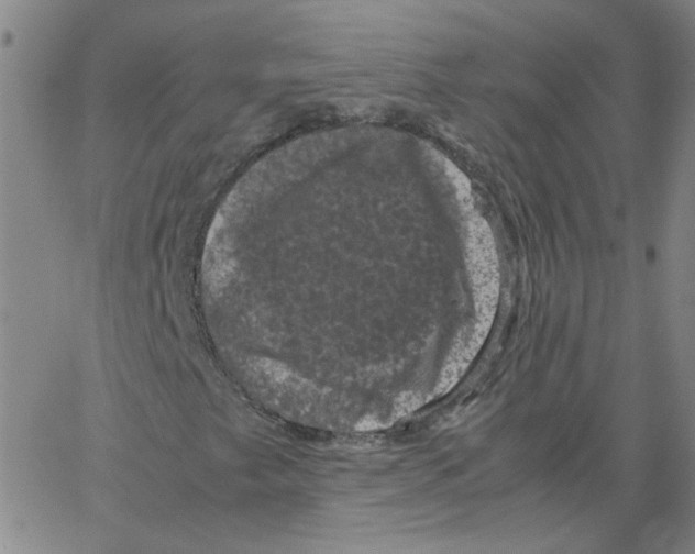 X0000066111249200604071838