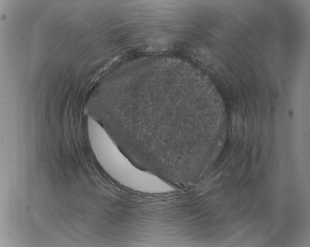 X0000066111250200604071838