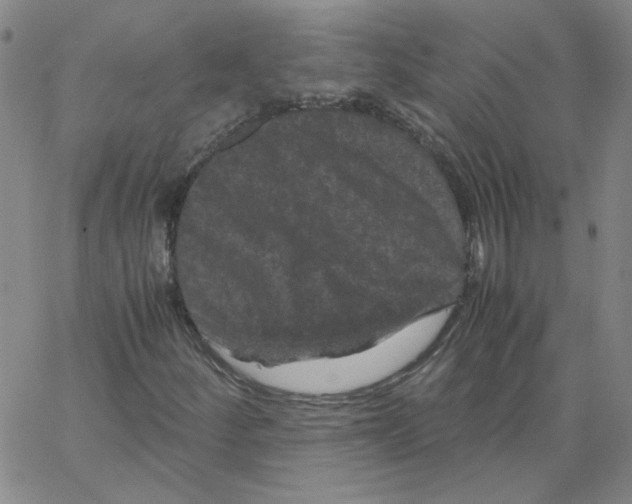 X0000066111252200604071838