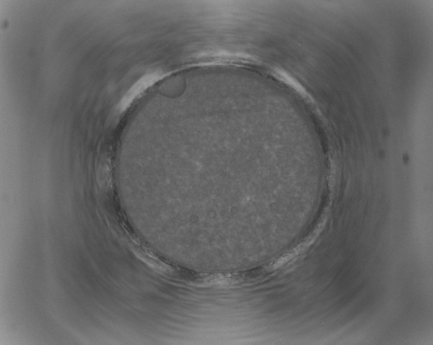 X0000066111259200604071838