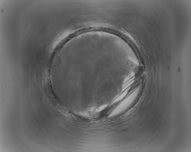 X0000066111263200604071838