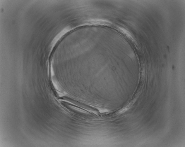 X0000066111275200604071838