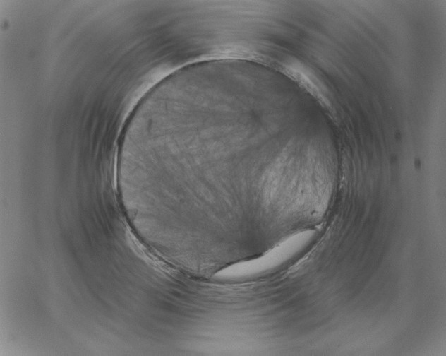 X0000066111276200604071838