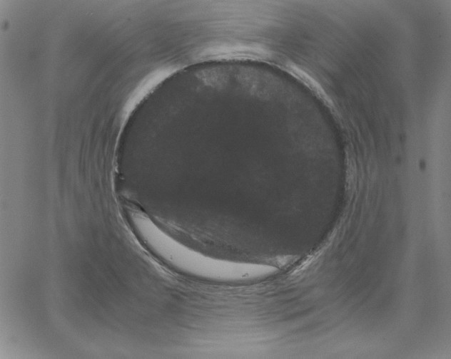 X0000066111277200604071838
