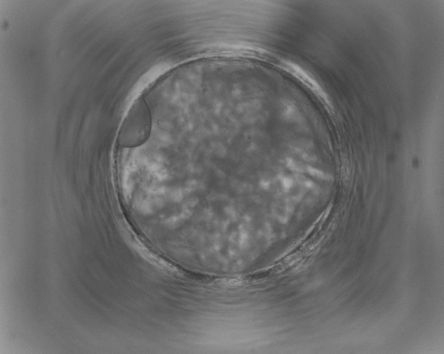 X0000066111283200604071838