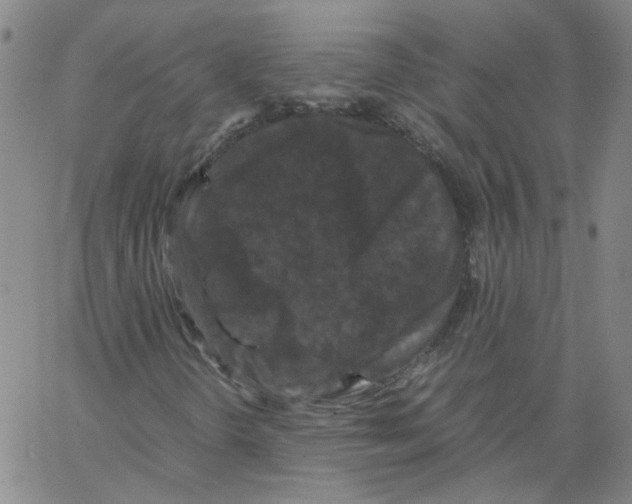 X0000066111298200604071837