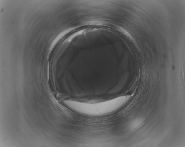 X0000066111323200604071837