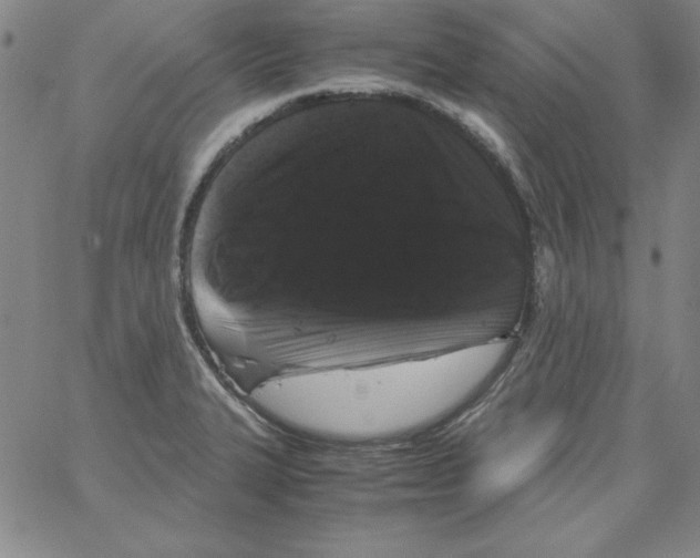 X0000066111327200604071837