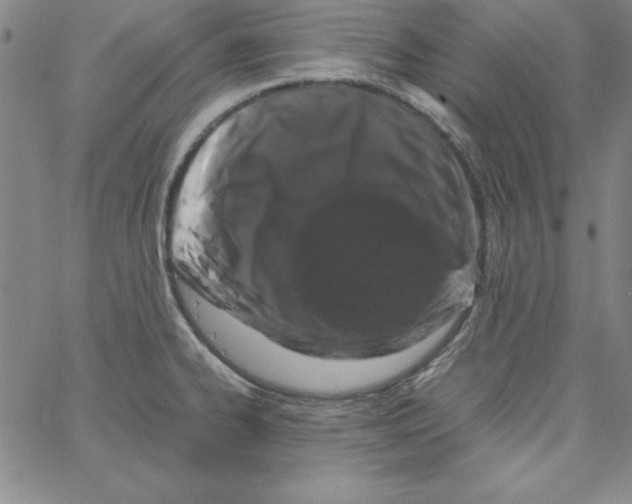 X0000066111334200604071837