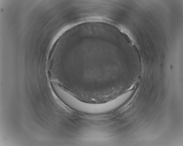X0000066111342200604071838
