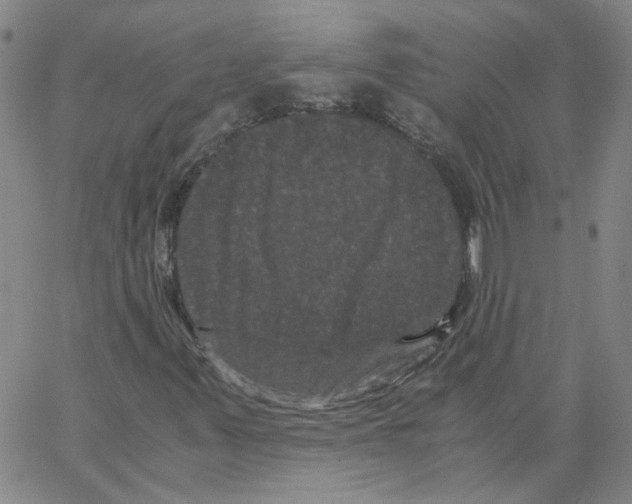 X0000066111347200604071837