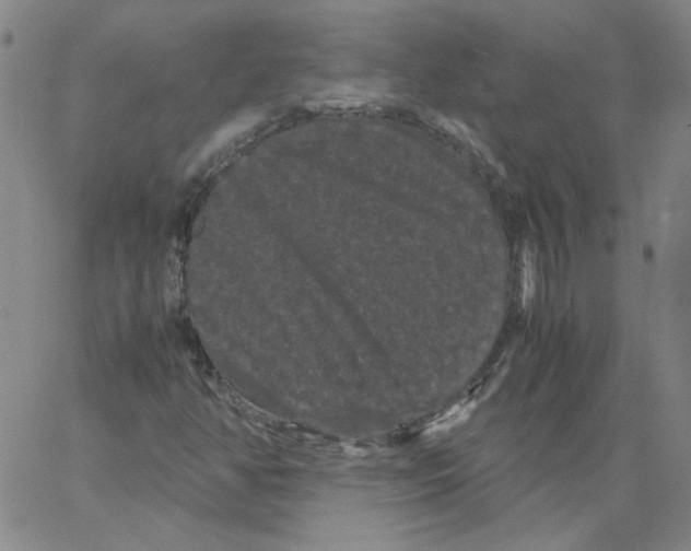 X0000066111350200604071837