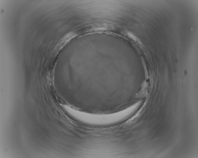 X0000066111353200604071837