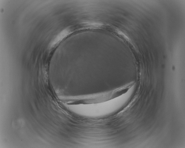 X0000066111354200604071837