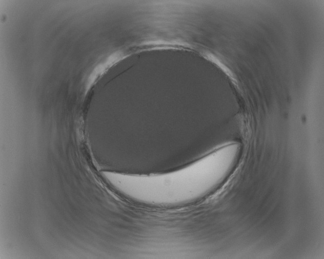 X0000066111357200604071837