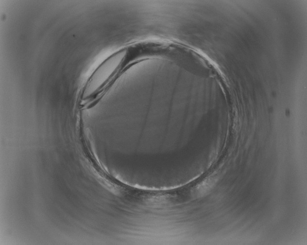 X0000066111367200604071837