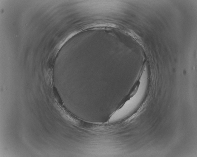 X0000066111369200604071836