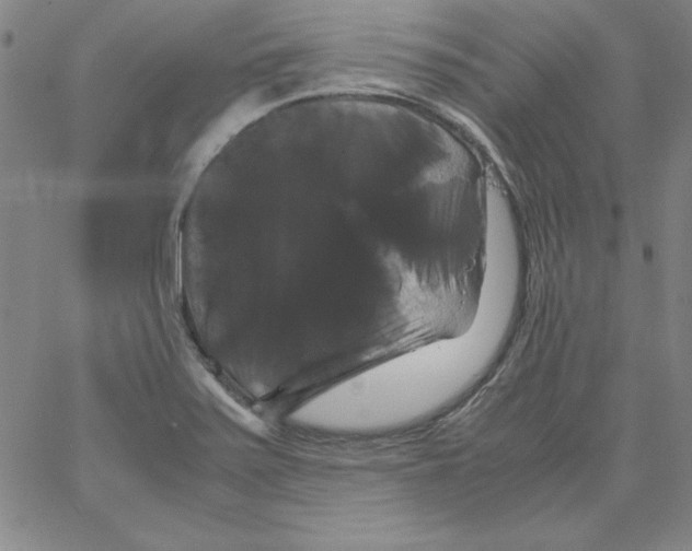 X0000066111371200604071836