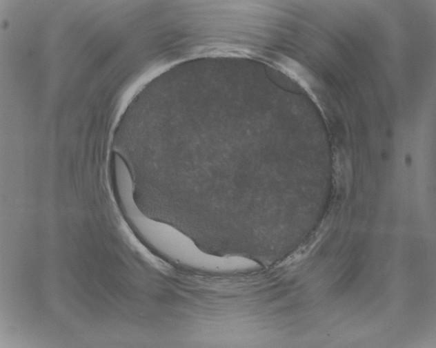 X0000066111379200604071836