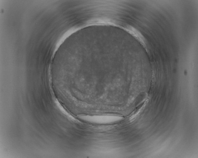 X0000066111382200604071836