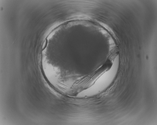 X0000066111383200604071836