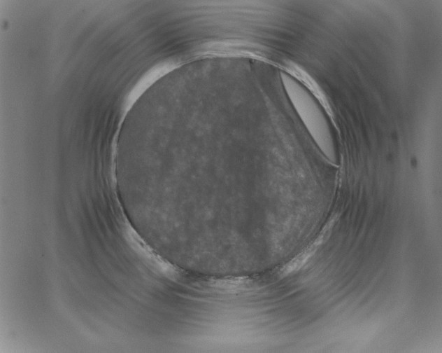 X0000066111386200604071836
