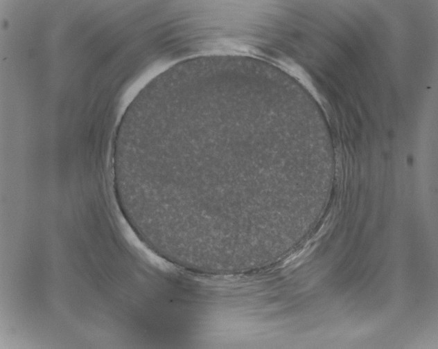 X0000066111387200604071836