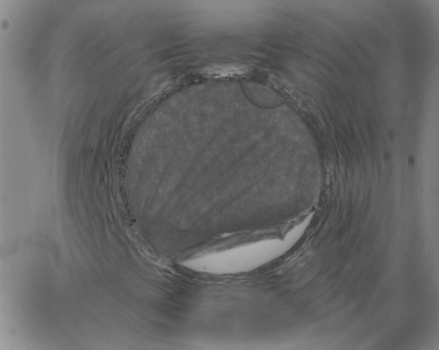 X0000066111393200604071835