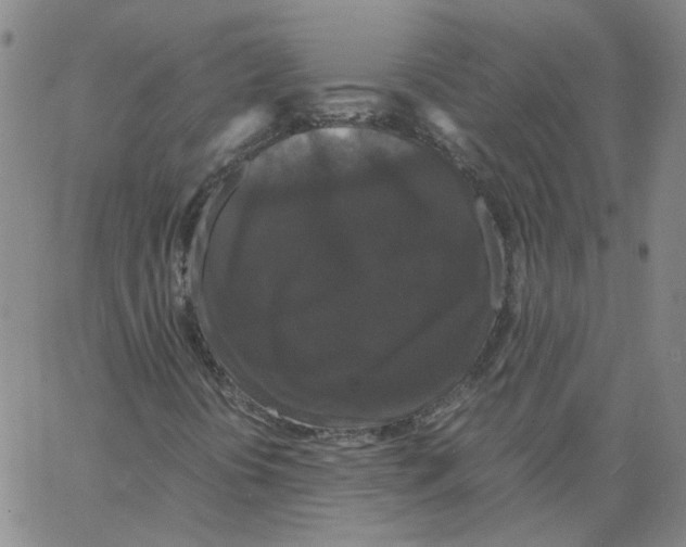 X0000066111394200604071835