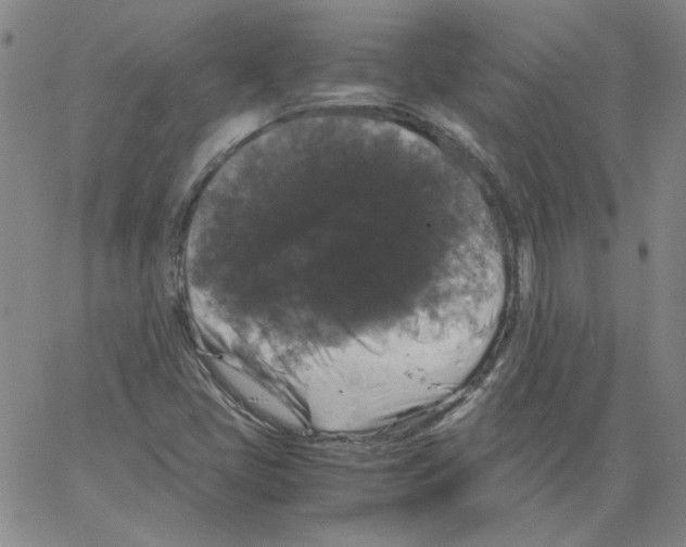 X0000066111405200604071836