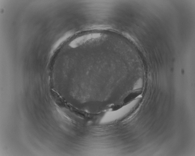 X0000066111406200604071836