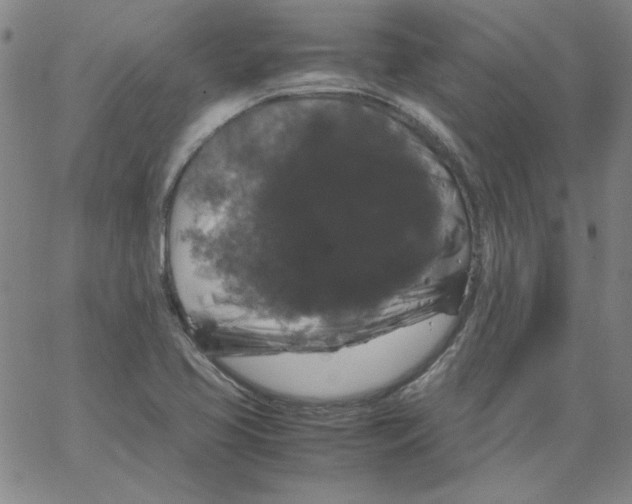 X0000066111413200604071836